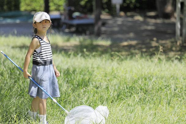 Japanese girl collecting insect (5 years old) - Photo, Image