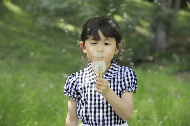 Japonesa estudiante chica soplando diente de león semillas (6 años de edad) - Foto, Imagen