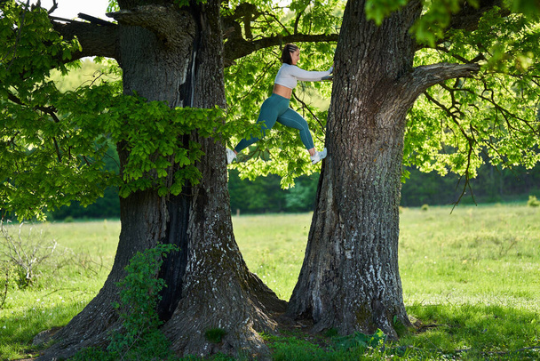 Size plus young woman climbing in an oak tree - Foto, Imagen