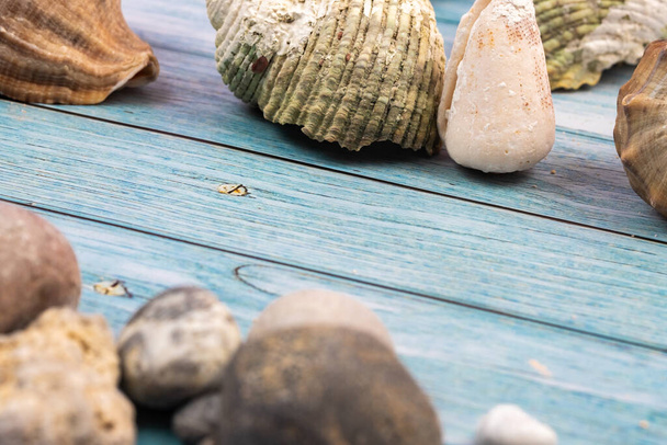 coconuts, rocks and shells on a blue wooden background.Marine theme. - Фото, зображення