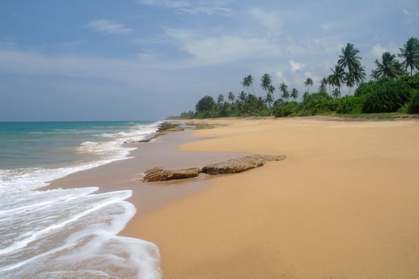 villi ranta Sri Lankan rannikolla
 - Valokuva, kuva