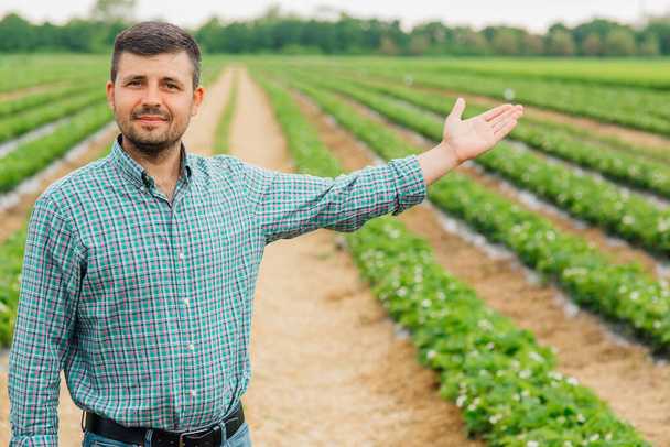 Portrait of young farmer standing in strawberry field with his arms outstretched. - Foto, imagen