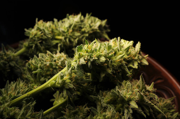 Des bourgeons de marijuana dans un plat. Fleurs de cannabis sur fond noir. Herbe récréative, cuisine canna, concept de légalisation. - Photo, image