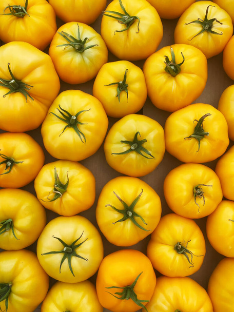 красные и желтые помидоры в коробках на фермерском рынке. - Фото, изображение