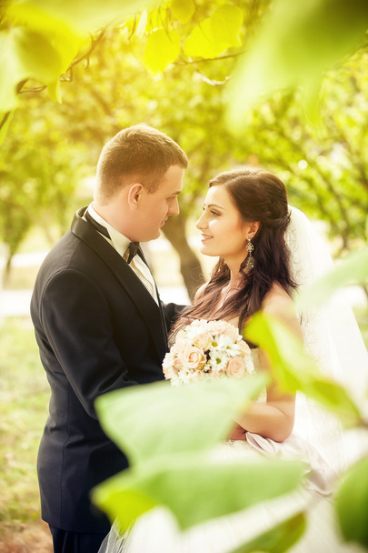 Bride and groom in park - Photo, Image
