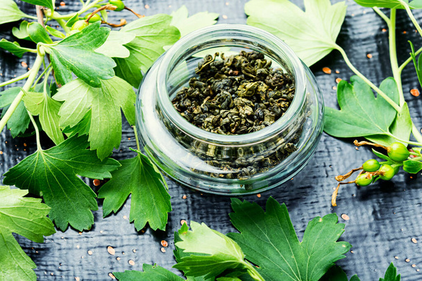 Chá de ervas com folhagem de groselha fresca.Medicina herbal - Foto, Imagem