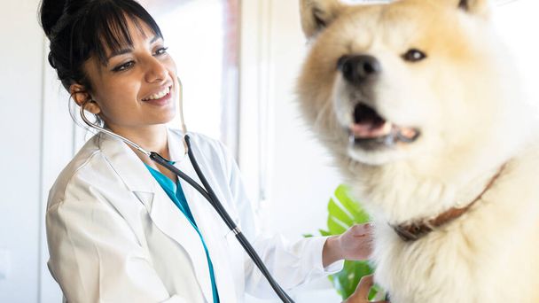 veterinário indiano feliz acompanhando um cão - Foto, Imagem