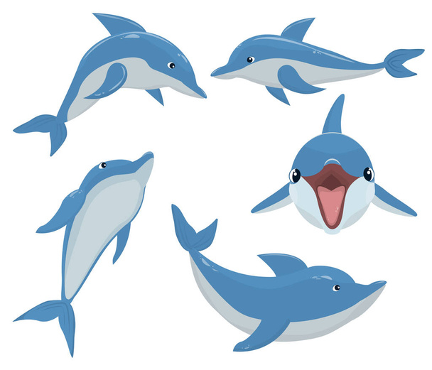  conjunto de ilustrações vetoriais com golfinhos isolados sobre fundo branco - Vetor, Imagem