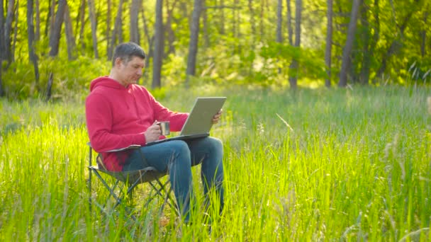 Ο άνθρωπος που εργάζεται σε φορητό υπολογιστή στο δάσος του καλοκαιριού - Πλάνα, βίντεο