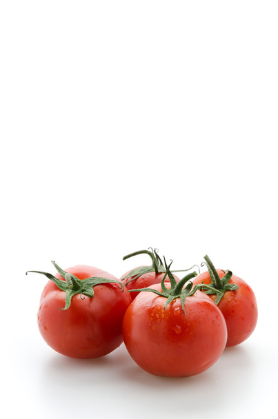 Pomidor izolowany na białym - Zdjęcie, obraz