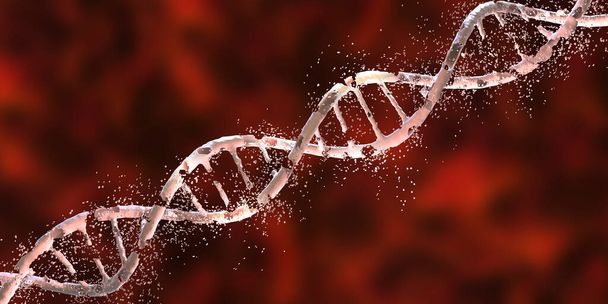 DNA (デオキシリボ核酸)損傷、 3Dイラスト。疾患、遺伝性疾患、遺伝子工学の概念 - 写真・画像
