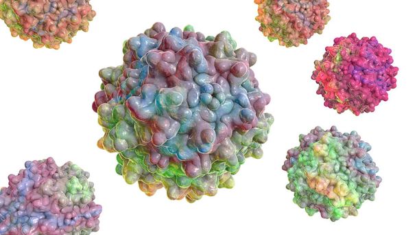 Adeno-assoziierte Viren, 3D-Illustration. Die kleinsten bekannten Viren, die den Menschen infizieren, gehören zur Familie der Parvoviridae, werden zur Gentherapie und zur Erstellung isogener menschlicher Krankheitsmodelle verwendet. - Foto, Bild