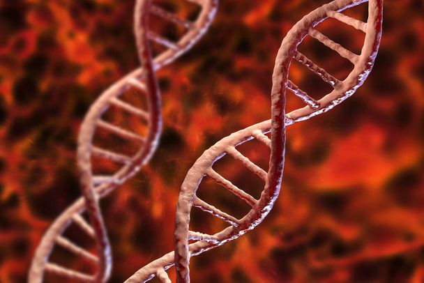 DNA molekülü, çift sarmal, üç boyutlu çizim. Gen terapisi, genetik mutasyon ve genetik bozukluklar. - Fotoğraf, Görsel