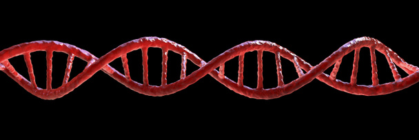 Molécula de ADN aislada sobre fondo negro, doble hélice, ilustración 3D. Terapia génica, mutación genética y trastornos genéticos - Foto, Imagen