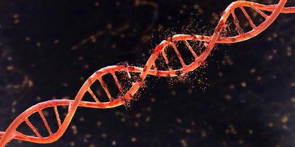 DNA (デオキシリボ核酸)損傷、 3Dイラスト。疾患、遺伝性疾患、遺伝子工学の概念 - 写真・画像