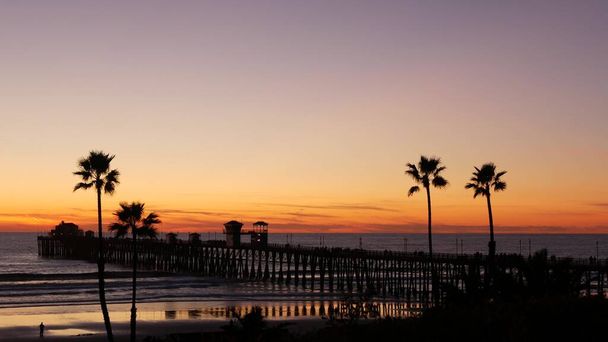 Palme e cielo crepuscolare in California USA. Tropicale oceano spiaggia atmosfera tramonto. Le vibrazioni di Los Angeles. - Foto, immagini