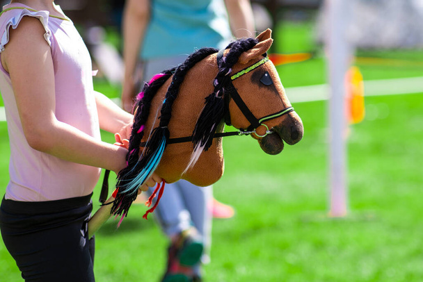 children's sports entertainment hobby-hosting. A horse's head on a stick. creativity. Show jumping or dressage. - Foto, Imagen
