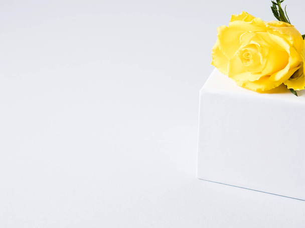 Κίτρινο τριαντάφυλλο σε λευκό κυβικό βάθρο σε γκρι γεωμετρικό φόντο. - Φωτογραφία, εικόνα
