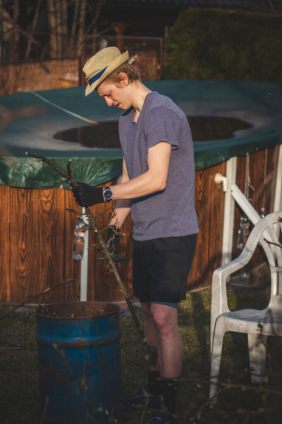 Εργατικός άνθρωπος με ρούχα εργασίας χρησιμοποιεί κλαδευτήρια για να χωρίσει το ξύλο σε μικρότερα ραβδιά για να χωρέσει στον κλίβανο για καύση. Δούλεψε στον κήπο. Προετοιμάζω το οικόπεδο. Ομορφαίνοντας τους οπωρώνες. - Φωτογραφία, εικόνα