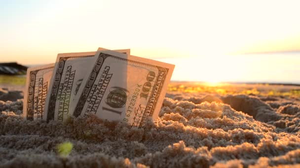 Billetes de tres dólares están enterrados en arena en la playa de arena cerca del mar al amanecer del atardecer - Imágenes, Vídeo