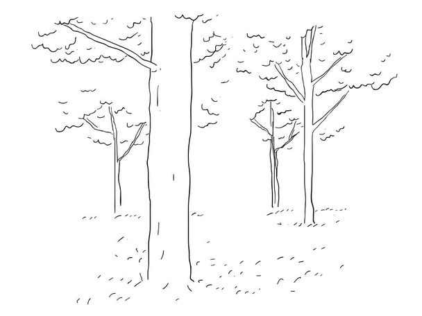 Torest stromy ručně kreslené ilustrace - Vektor, obrázek