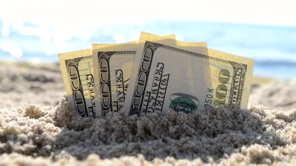 Le banconote da tre dollari sono sepolte nella sabbia sulla spiaggia sabbiosa vicino al mare - Filmati, video