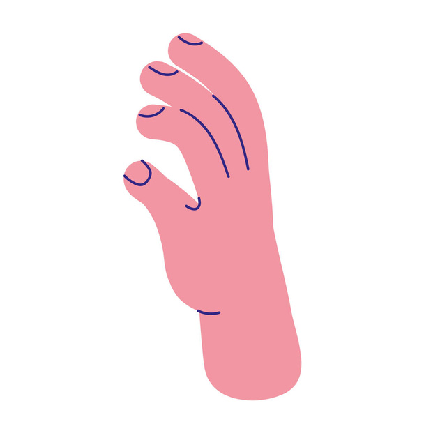 B hand gestures - Vector, Image