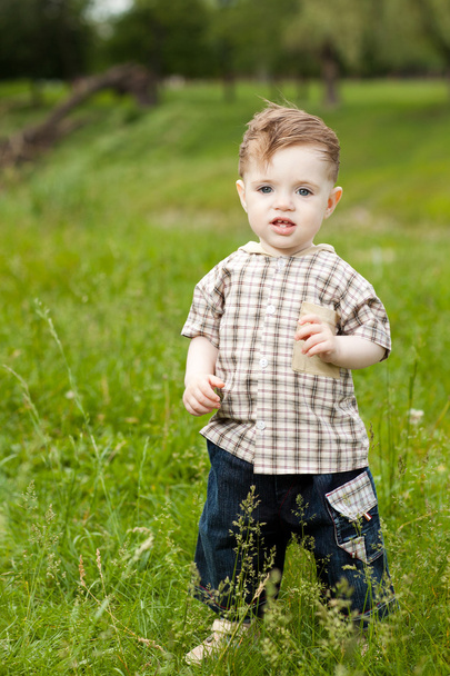 1 річний білий хлопчик робить свої перші кроки в парку
 - Фото, зображення