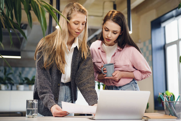 Two young women working together in office - Foto, Bild
