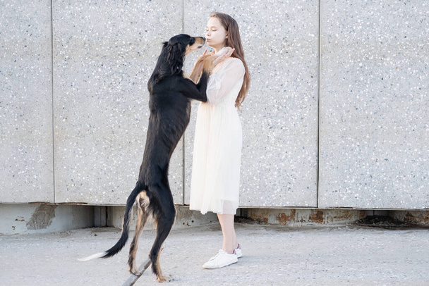 Собака Салукі стоїть з привабливою молодою жінкою. портрет
.  - Фото, зображення