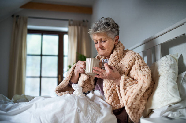 Sick senior woman in bed at home, taking medication. Post-vaccination side-effects. - 写真・画像