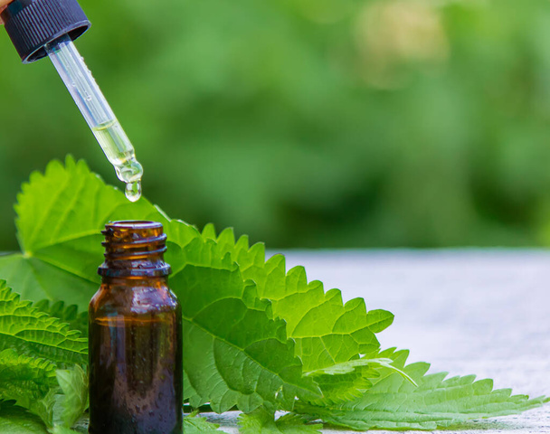 tincture of nettle in a bottle and fresh leaves isolated with shadows on a light background, medicinal herb for overweight, diabetes and renal weakness, selected focus, shallow depth of field - Foto, Bild