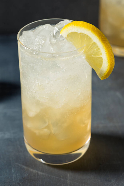Boozy Refreshing Lemon Rum Collins with Soda Water - Fotoğraf, Görsel
