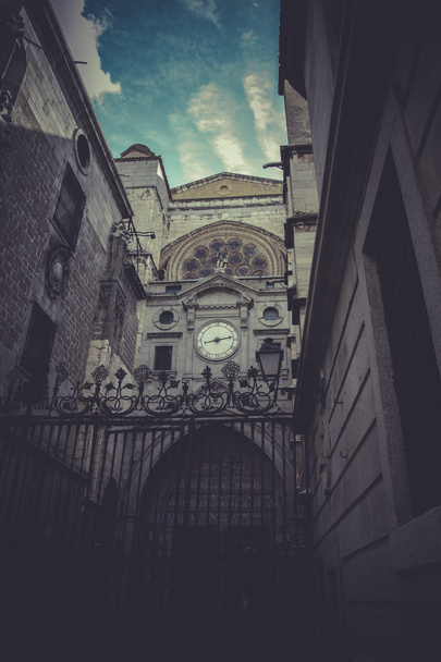 Side entrance of the Cathedral of Toledo - Foto, imagen