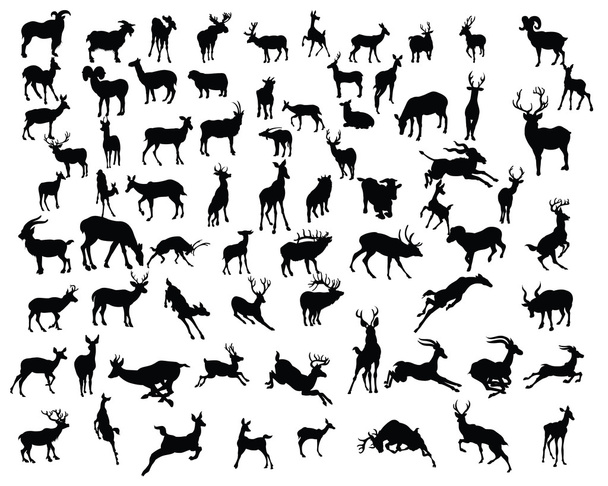 siluetas de colección de ciervos - vector
 - Vector, imagen