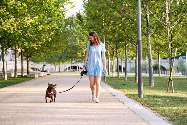Jeune belle jeune fille brune joyeuse en robe bleue se promène avec son chien dans un parc de la ville. Race de chien Pharaon en laisse avec propriétaire en promenade.  - Photo, image