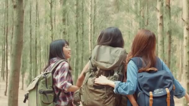 Азиатские туристки ходят в лес. Молодые счастливые девушки с рюкзаками, гуляя, наслаждаются путешествием, путешествием на природу и приключениями, взбираются на горную вершину в осенние каникулы.. - Кадры, видео