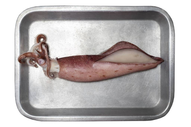Kaynamış mürekkep balığının üst görüntüsü. Deniz yiyeceği konsepti  - Fotoğraf, Görsel