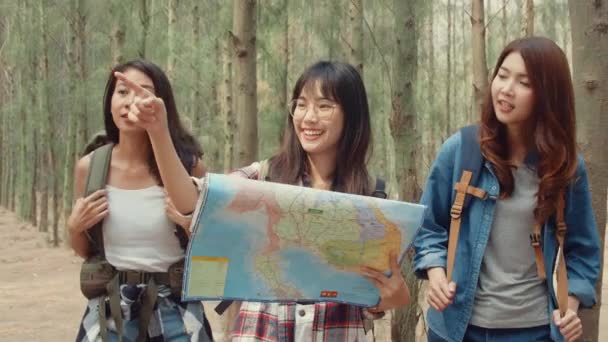 Ázsiai túrázó nők túráznak az erdőben. Fiatal boldog hátizsák lányok séta élvezze utazását, utazási természet és kaland utazás, hegymászás sok fa őszi nyaralás nyaralás koncepció. - Felvétel, videó