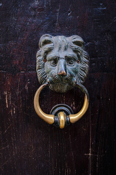 Kahverengi kapısında aslan suratlı antika kapı tokmağı. Güney İtalya. - Fotoğraf, Görsel