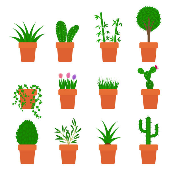 Vector set of plants in pots - Vektori, kuva