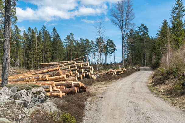 Točící se štěrková cesta s hromadami dřeva u silnice - Fotografie, Obrázek