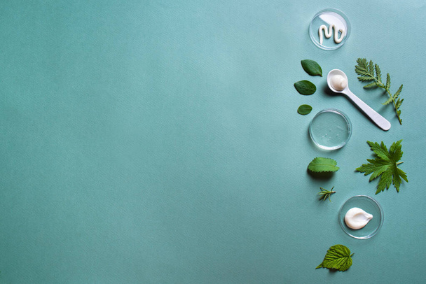 Natural skin care products in petri dish and green leaves on green background, top view, copy space. Natural eco beauty, cosmetic laboratory and organic skin care concept. - 写真・画像