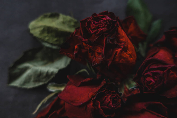 Red roses rosa dry flowers as floral autumn dark black vintage botanical grainy noisy blurred romantic intimate decorative pattern background wallpaper backdrop - 写真・画像