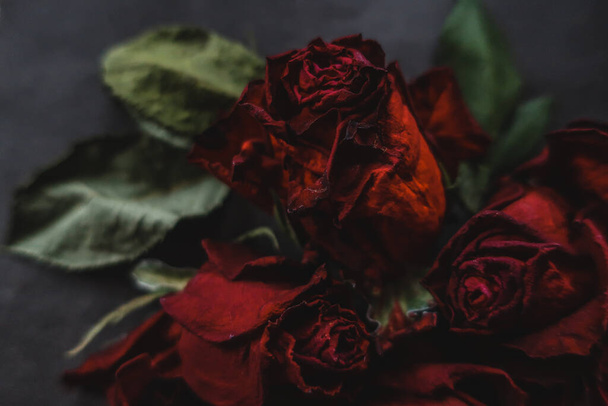 Red roses rosa dry flowers as floral autumn dark black vintage botanical grainy noisy blurred romantic intimate decorative pattern background wallpaper backdrop - Foto, Imagen