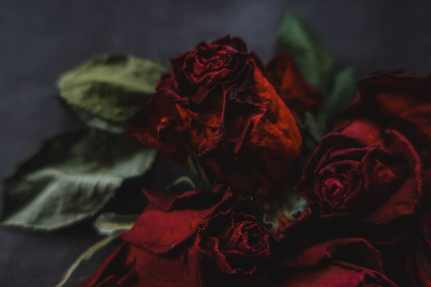 Red roses rosa dry flowers as floral autumn dark black vintage botanical grainy noisy blurred romantic intimate decorative pattern background wallpaper backdrop - Foto, Imagen