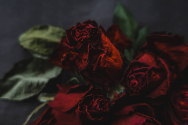Red roses rosa dry flowers as floral autumn dark black vintage botanical grainy noisy blurred romantic intimate decorative pattern background wallpaper backdrop - Foto, imagen