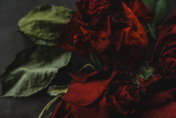 Červené růže růžové suché květiny jako květinový podzim tmavé černé vinobraní botanické zrnité hlučné rozmazané romantické intimní dekorativní vzor pozadí tapety pozadí - Fotografie, Obrázek