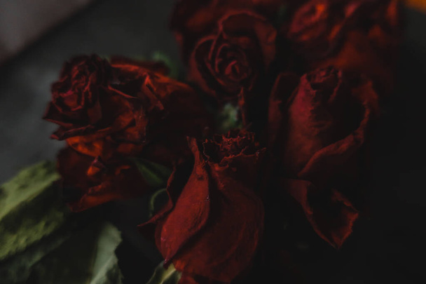 Red roses rosa dry flowers as floral autumn dark black vintage botanical grainy noisy blurred romantic intimate decorative pattern background wallpaper backdrop - Photo, image