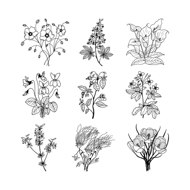 conjunto de flores desenhadas à mão. ilustração vetorial - Vetor, Imagem